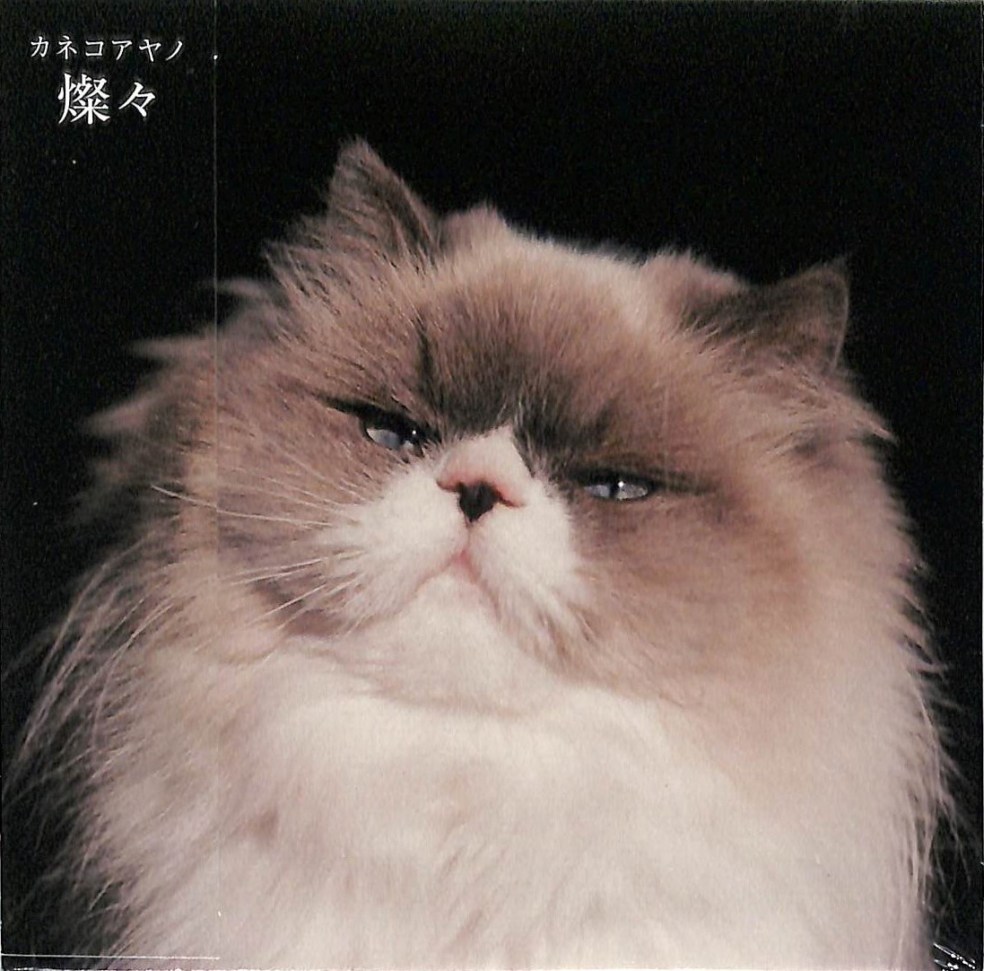 芽瑠璃堂 ＞ カネコアヤノ 『燦々(通常盤)』NNFC003