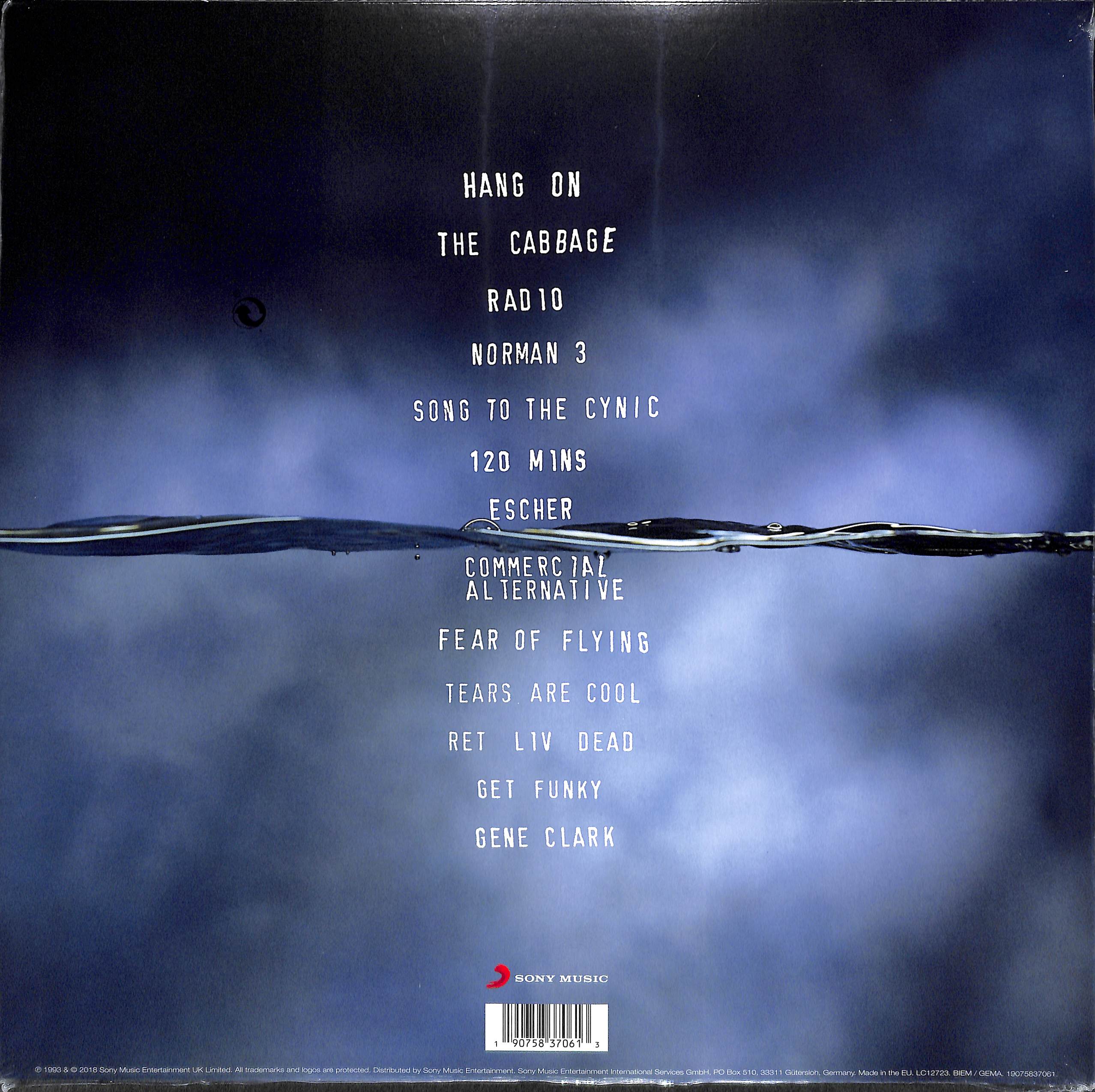 芽瑠璃堂 ＞ TEENAGE FANCLUB 『Thirteen (LP+7inch)（12インチ） (直