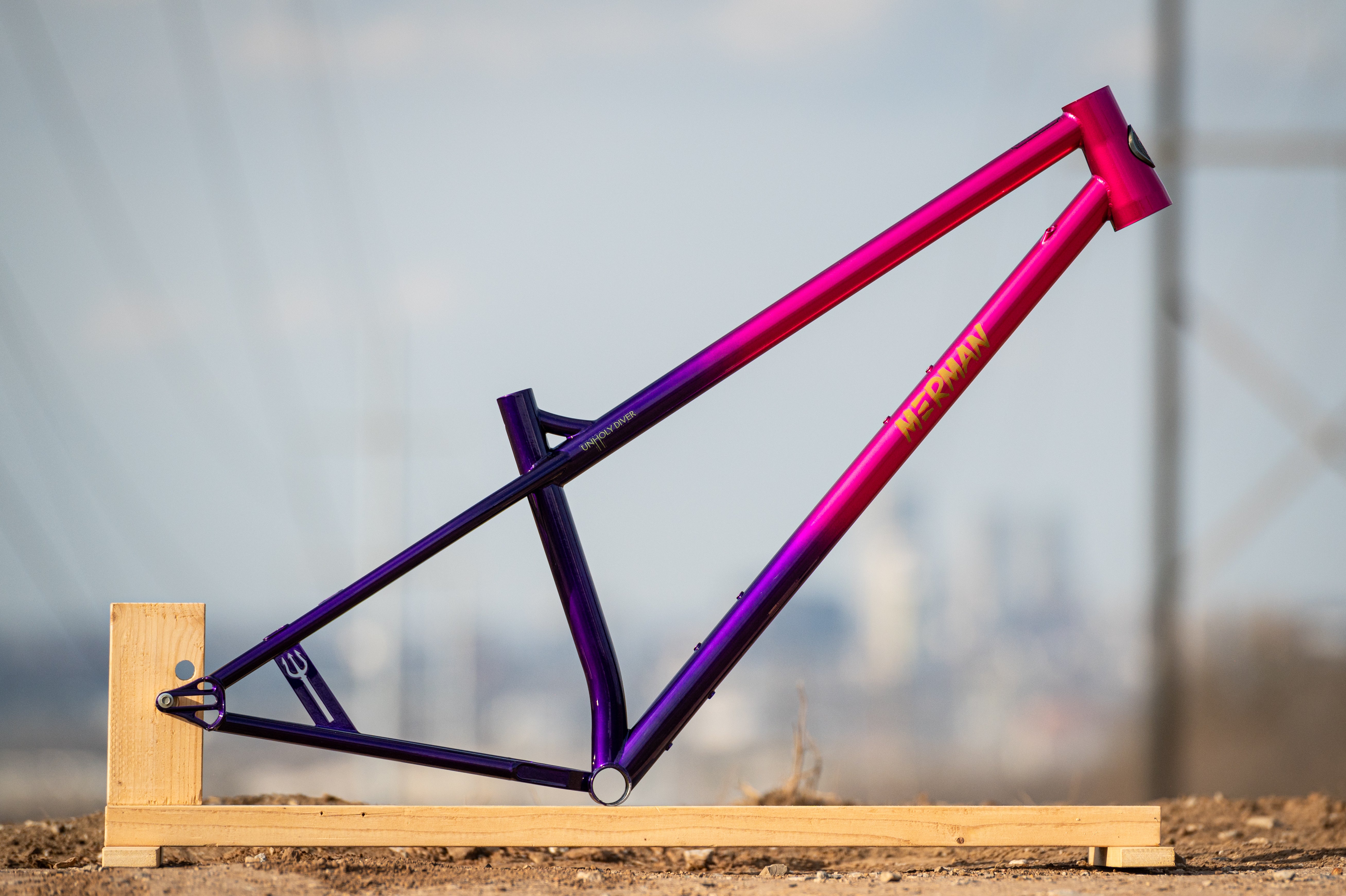 DSC_8104.jpg?v=1711206620&