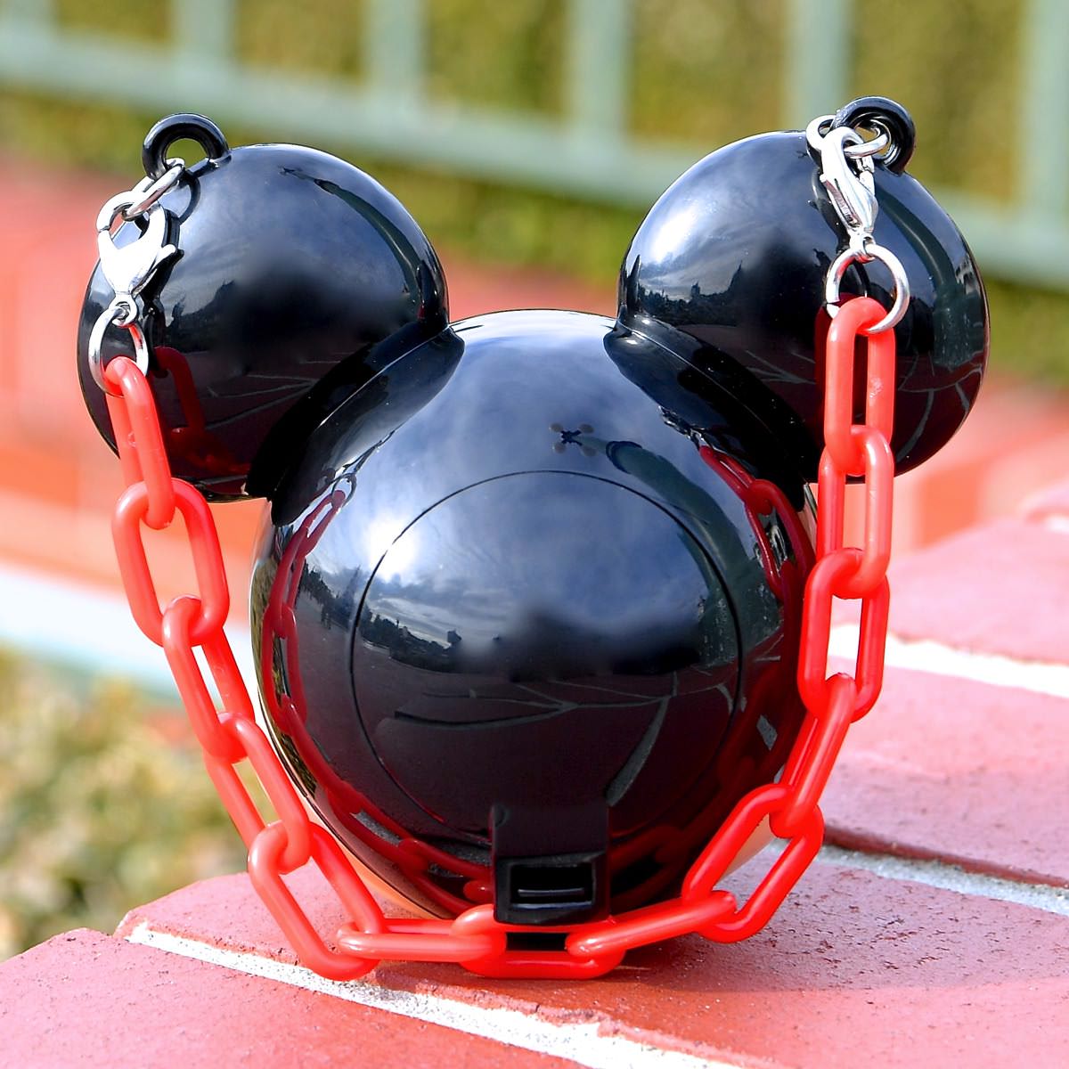 待望のミッキー・ミニー・プーさんが登場！東京ディズニーランド ミニ