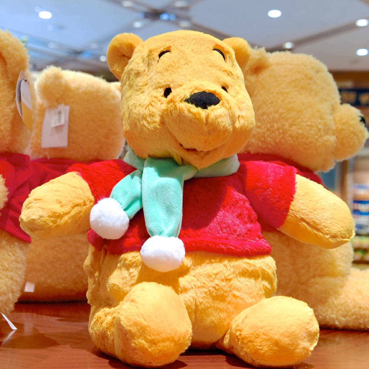 ポケットに手を入れられるあったかデザイン！東京ディズニーランド