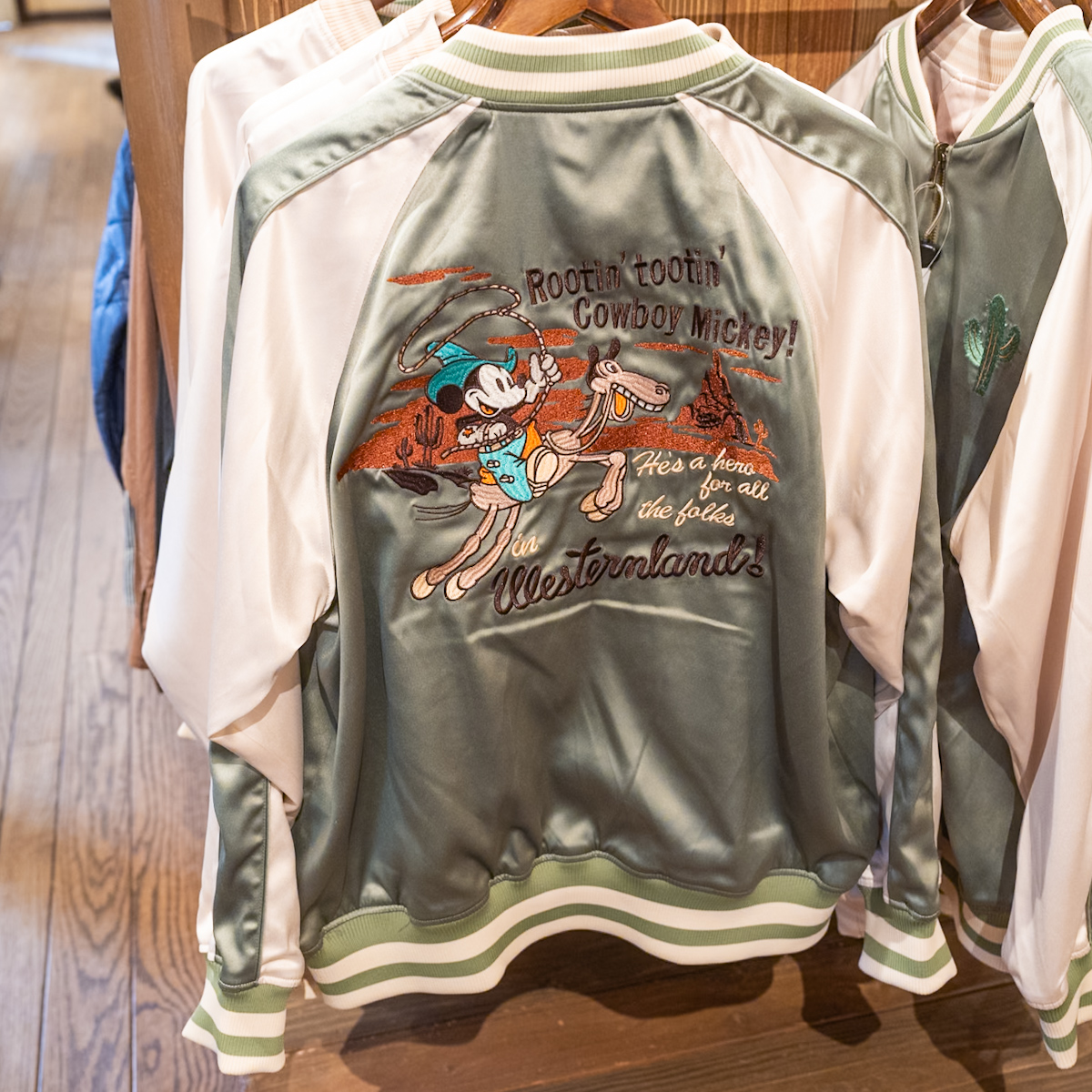 ミッキーとビッグサンダー・マウンテンデザイン！東京ディズニーランド