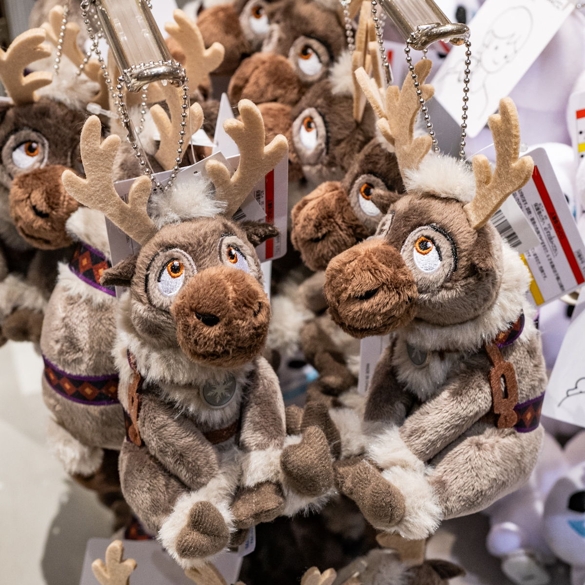 お座りしたかわいいスヴェン！東京ディズニーリゾート｢アナと雪の女王