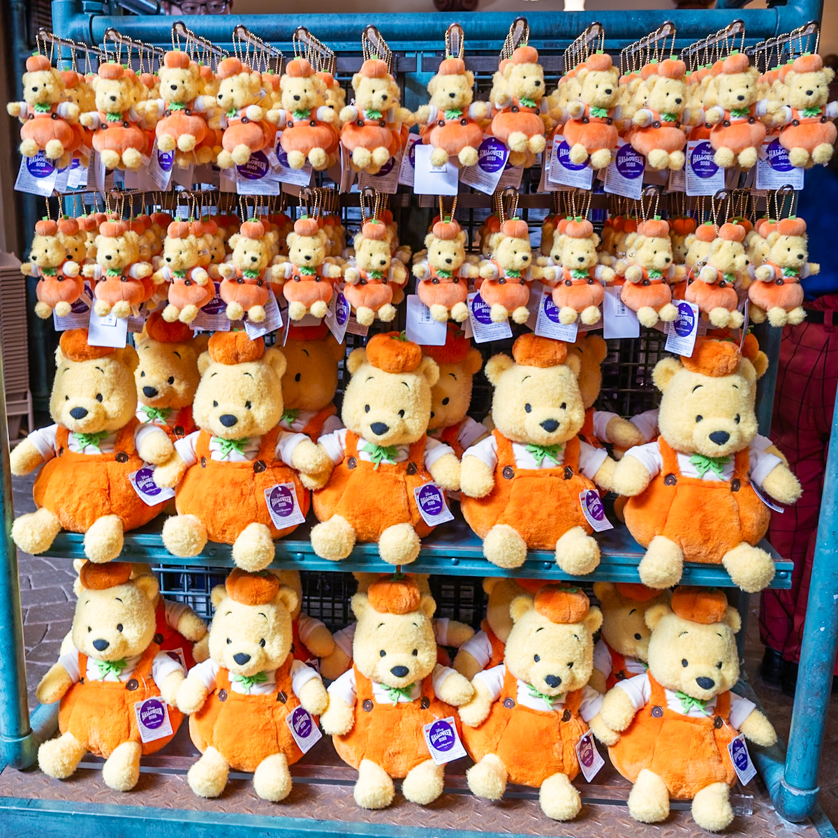 パンプキンコスチュームを着たプーさん！東京ディズニーリゾート