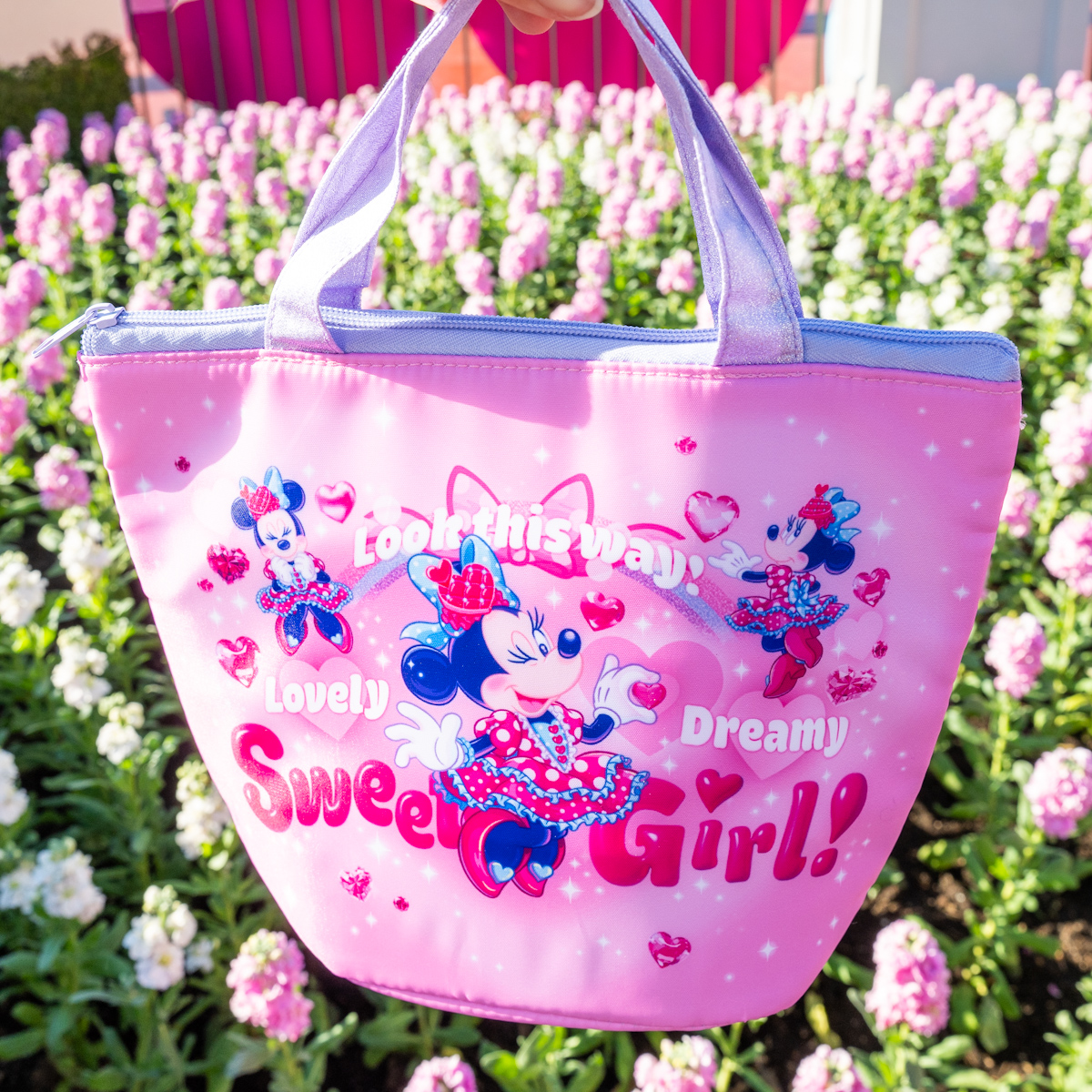 ミニーのファンダーランド スーベニア5種 ディズニーパルパルーザ