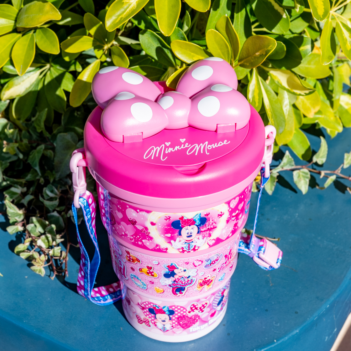 大きなリボン付き！東京ディズニーランド「ディズニー・パルパルーザ