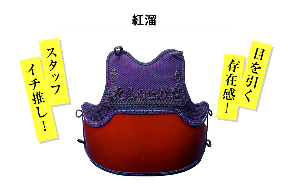 A-1αBIOCLEAN（バイオクリーン）Mark2」 6mmテトニット 剣道防具セット