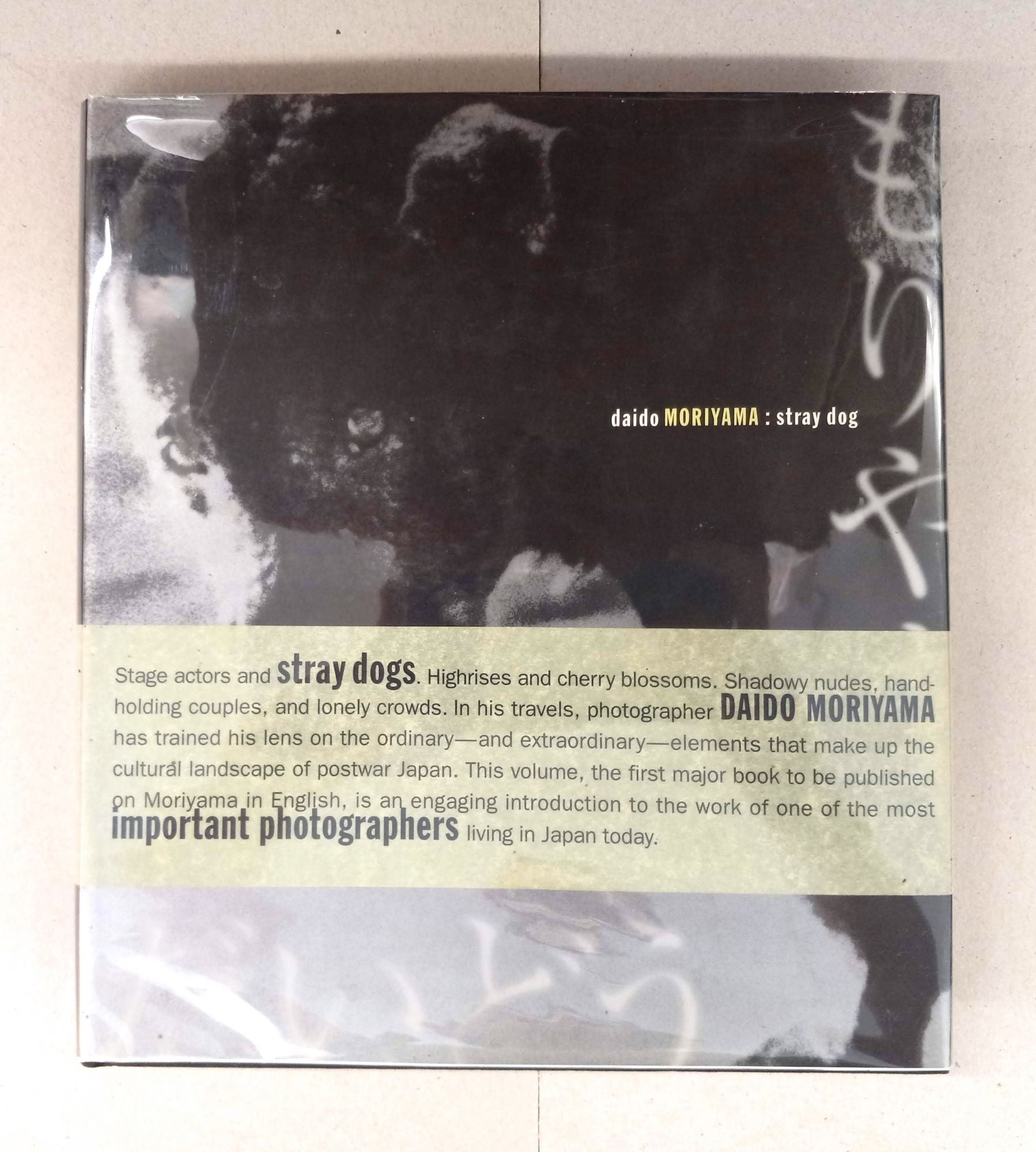 Daido Moriyama: Stray Dog | Sandra Phillips Daido Moriyama