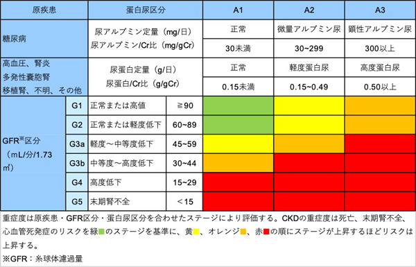 腎臓にトドメを刺さないために〜不適切な使用を防ぐために薬剤師が