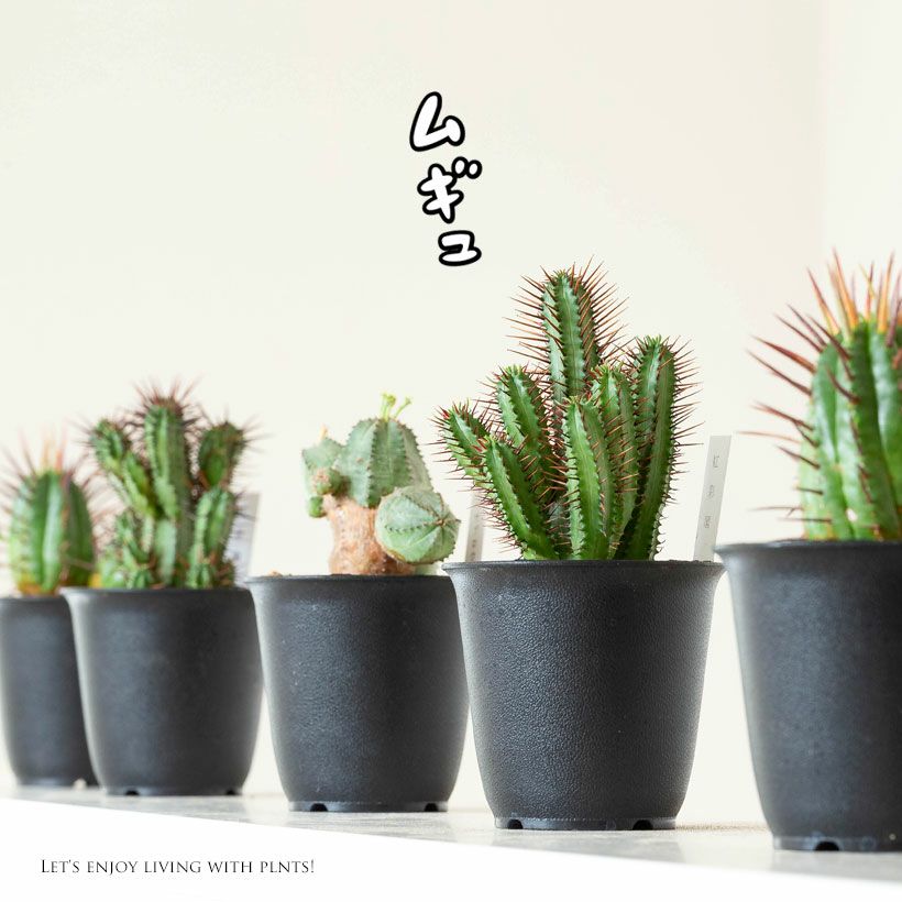 000000008559-01.jpg?size=l&w=