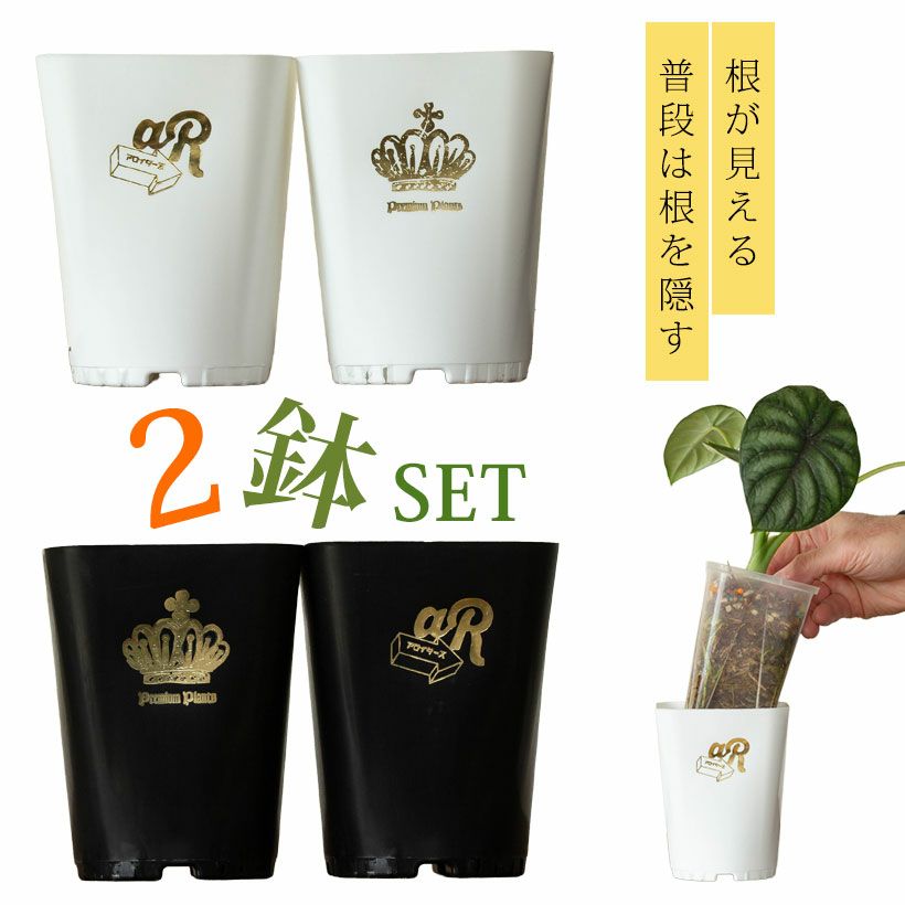 ネオプット（ネガミエルスリット鉢カバー）浅岡園芸・花森家開発