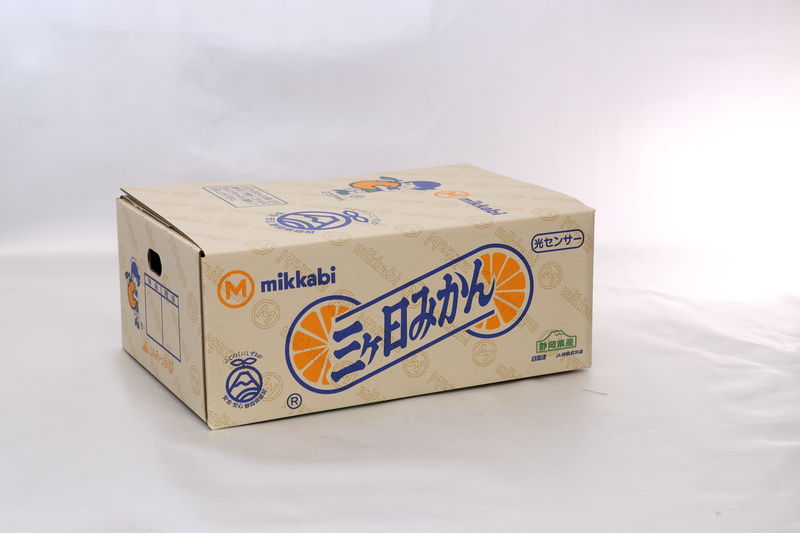 News&Topics｜11/5 令和5年産三ヶ日みかん 味は上々JAみっかび