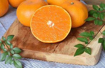 citrus-search setoka