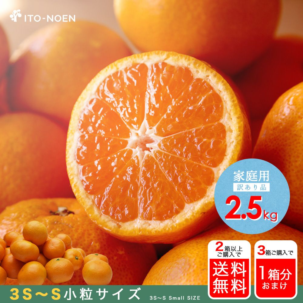 お届け予定が選べる♪｜お届け予定より発送予定】有田みかん小粒サイズ