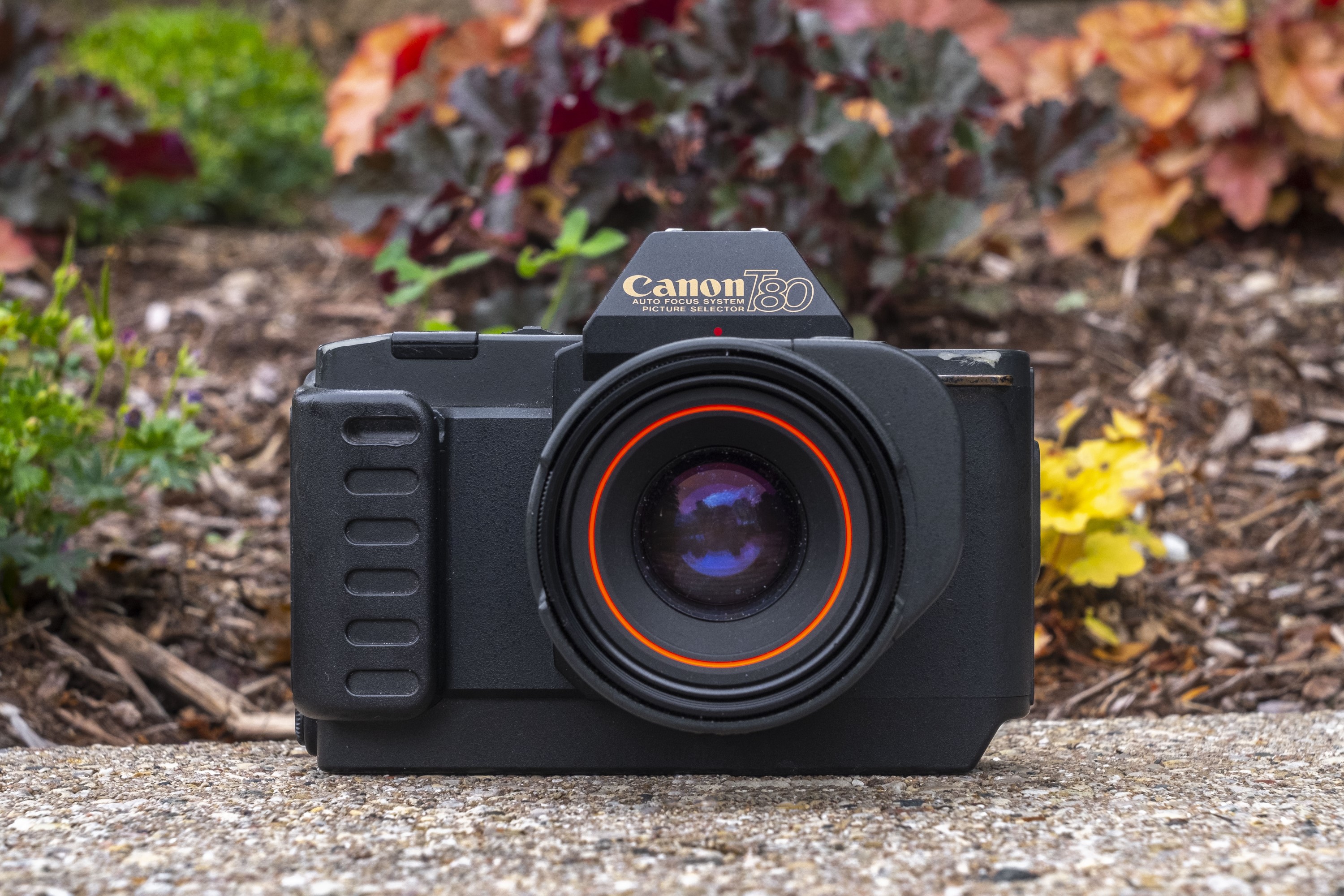 Canon T80 (1985) – mike eckman dot com