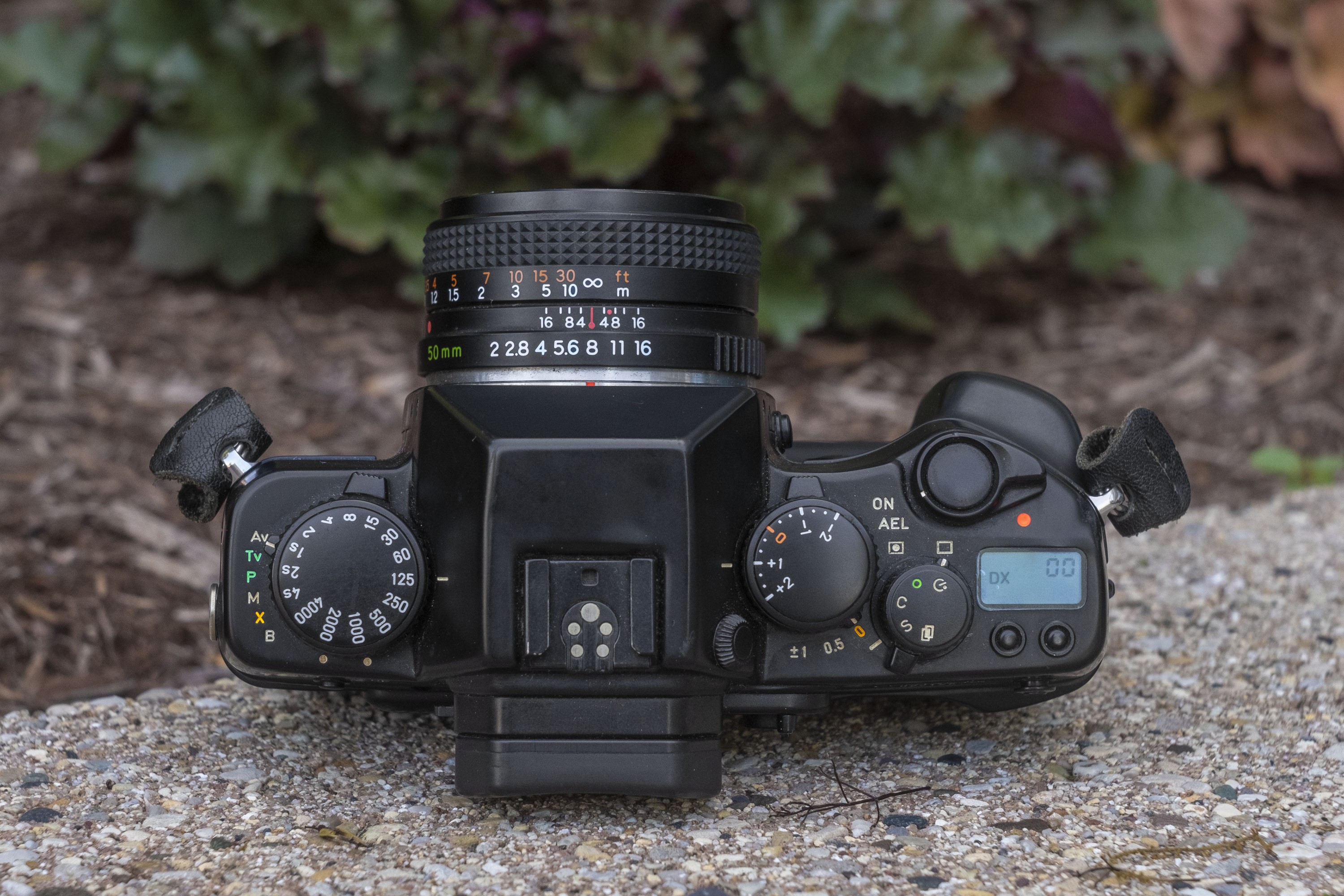 Contax RX (1994) – mike eckman dot com