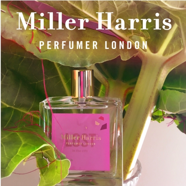 ロスト オーデパルファム(イン ザ シティ)｜products｜メゾン