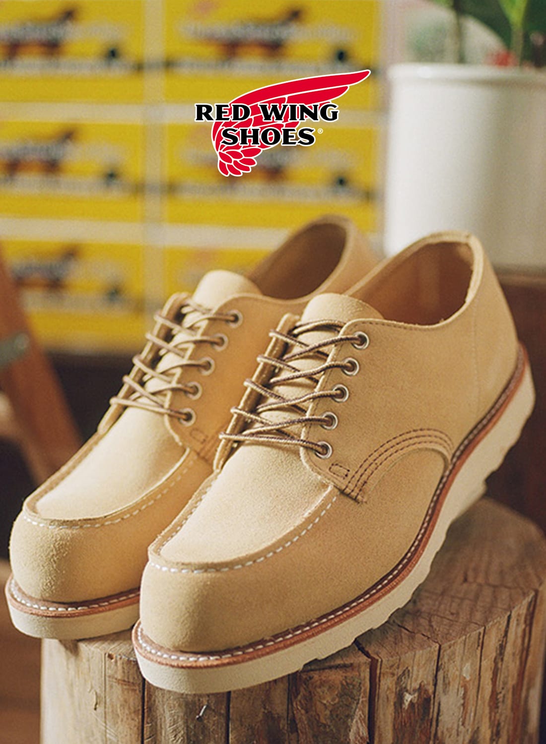 CLASSIC MOC OXFORD|#8079 クラシックモック オックスフォード#8079