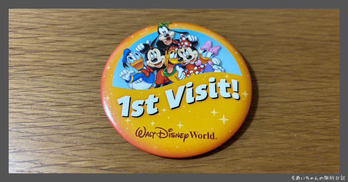 フロリダディズニー】WDWのピントレーディングとは？公式ピンの見分け