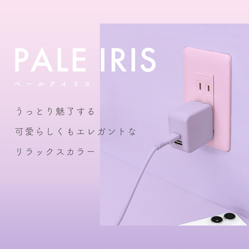 AC充電器 PD35W USB-C 1ポートUSB-A 1ポート 折りたたみ式プラグ 急速