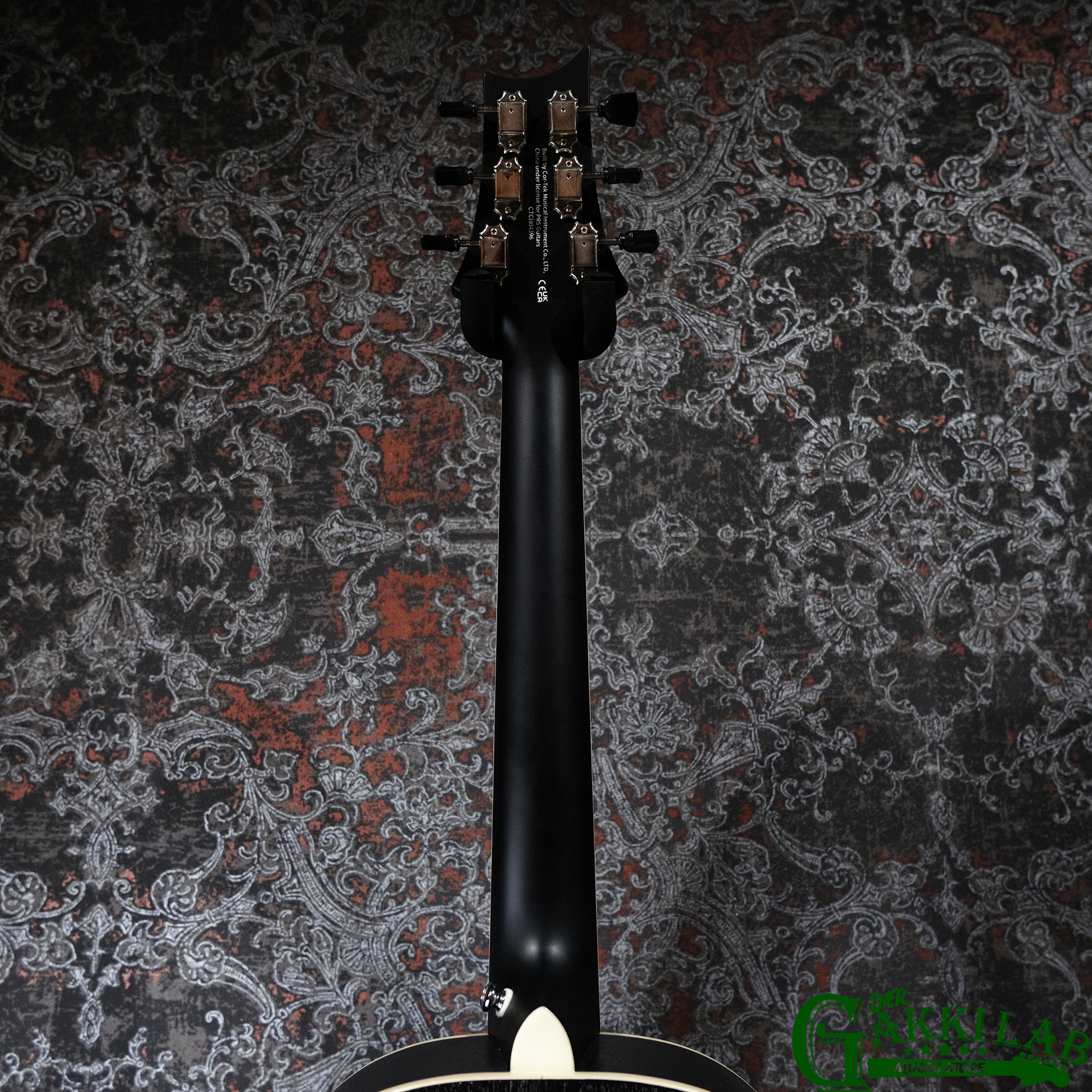 Paul Reed Smith(PRS) SE P20E Dog Hair w/ Fishman Presys VT Pickup