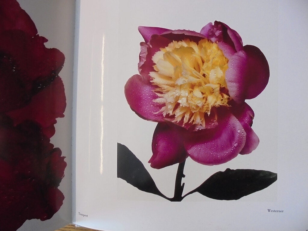 FLOWERS Irving Penn 初版 海外ライブラリー蔵書印等の難あり FLOWERS