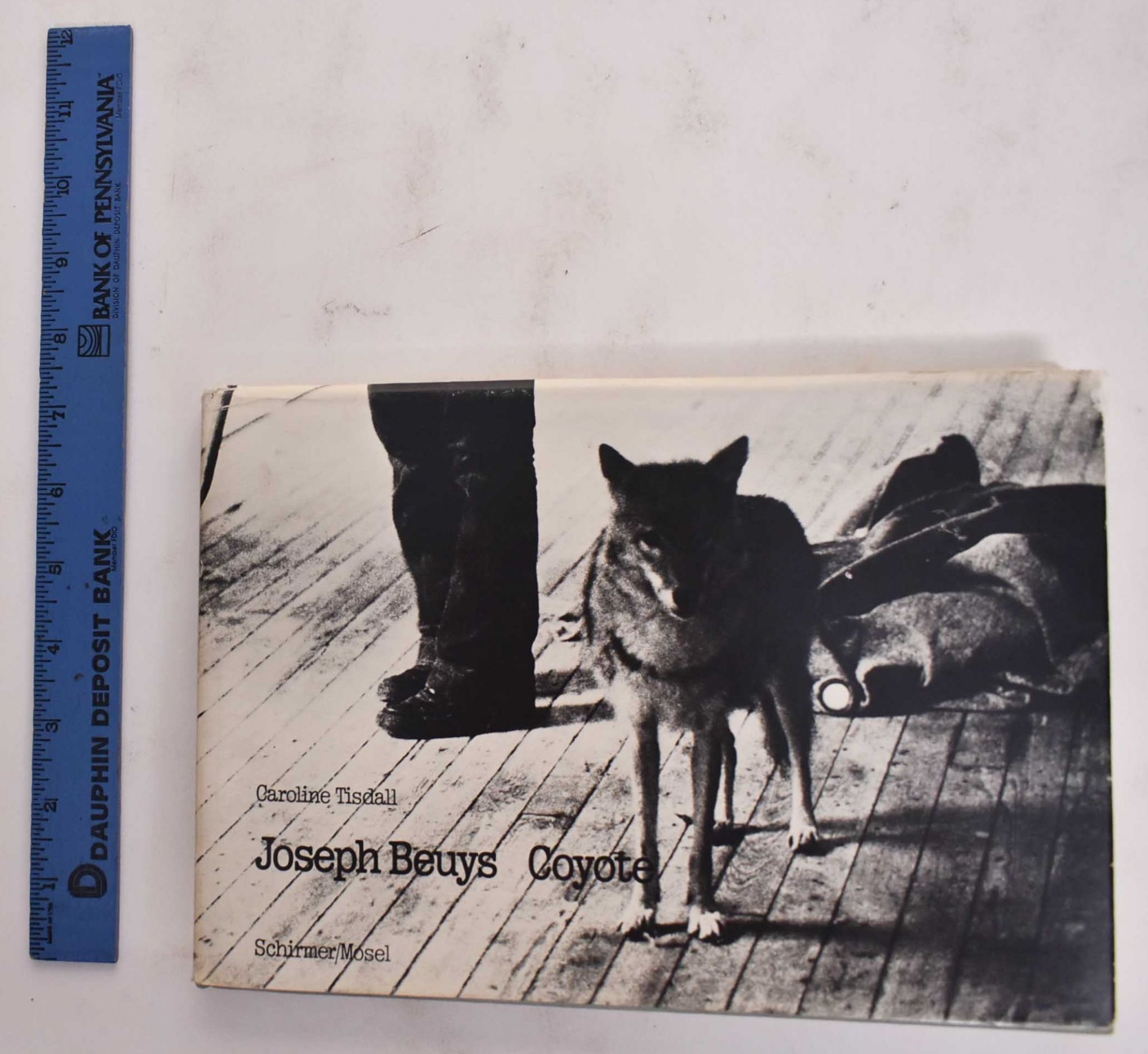 Joseph Beuys: Coyote | Caroline Tisdall, Joseph Beuys
