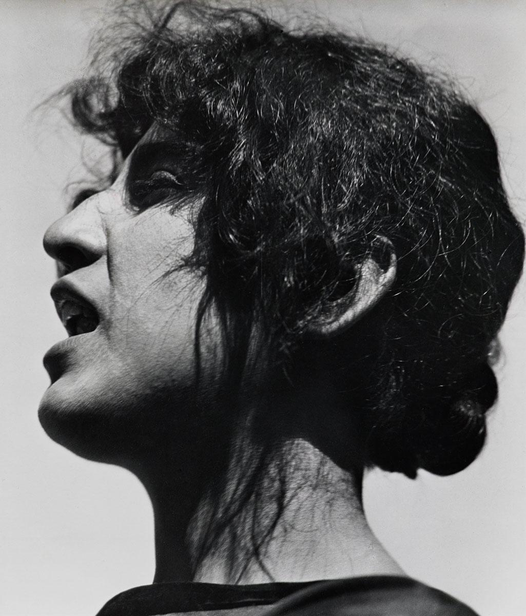 West x Southwest: Edward Weston and Ansel Adams | Cantor Arts