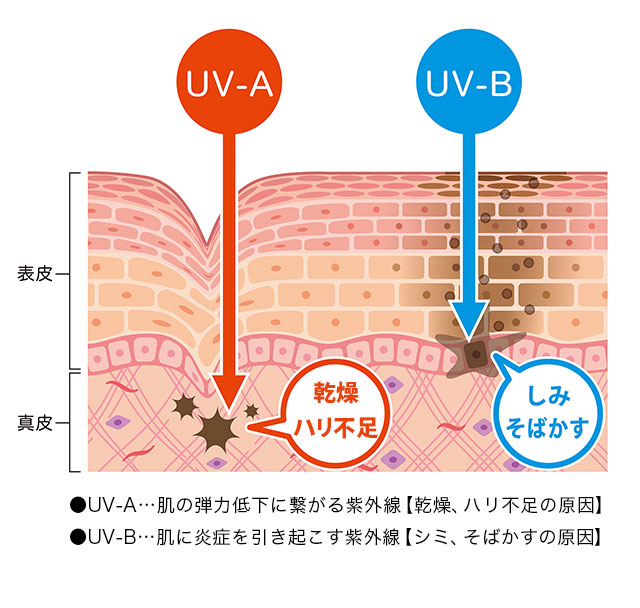 白酵プロテクションUVクリーム | [公式]ナチュラルガーデン
