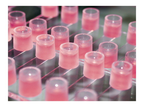 マイクロスライド6(VI) 0.4｜日本ジェネティクス株式会社 | 研究用消耗