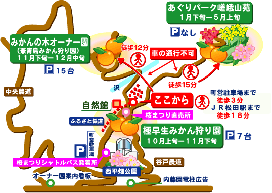 直売所開設 ｜内藤園－松田山みかんの里 内藤園 ＆ あぐりパーク嵯峨山苑