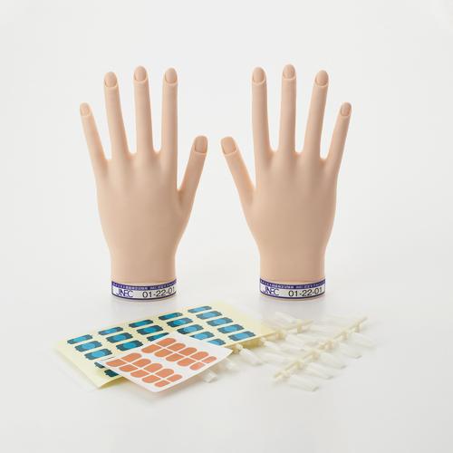 ▽STモデルハンド 両手セット / NESオンラインショップ