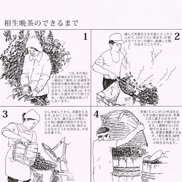 阿波晩茶 1kg｜徳島・那賀町産の乳酸菌後発酵茶【テレビ紹介あり