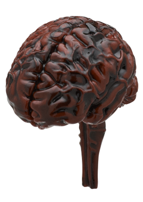 人体模型 ストラップⅠ – ネイチャーテクニカラー公式