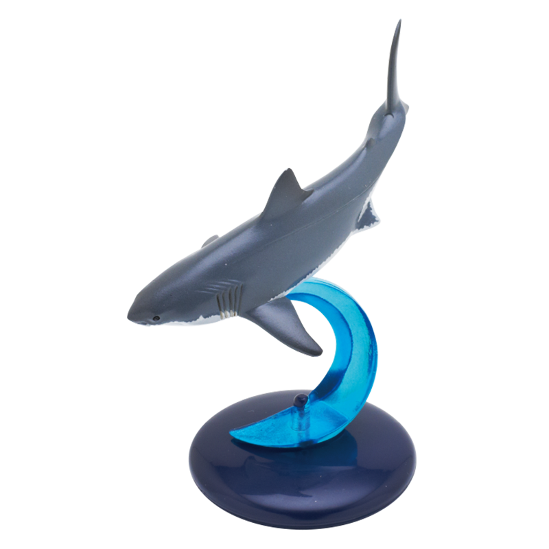 サメ – ネイチャーテクニカラー公式