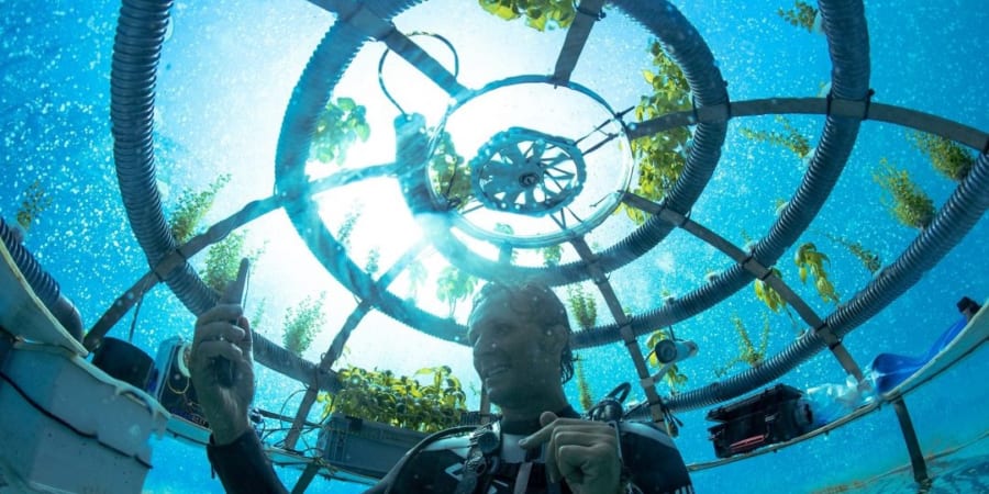 気候変動に対抗した幻想的な新しい農業「水中温室」 - ナゾロジー