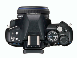 オリンパス ZUIKO DIGITAL 25mm F2.8 実写インプレッション - 高い機動