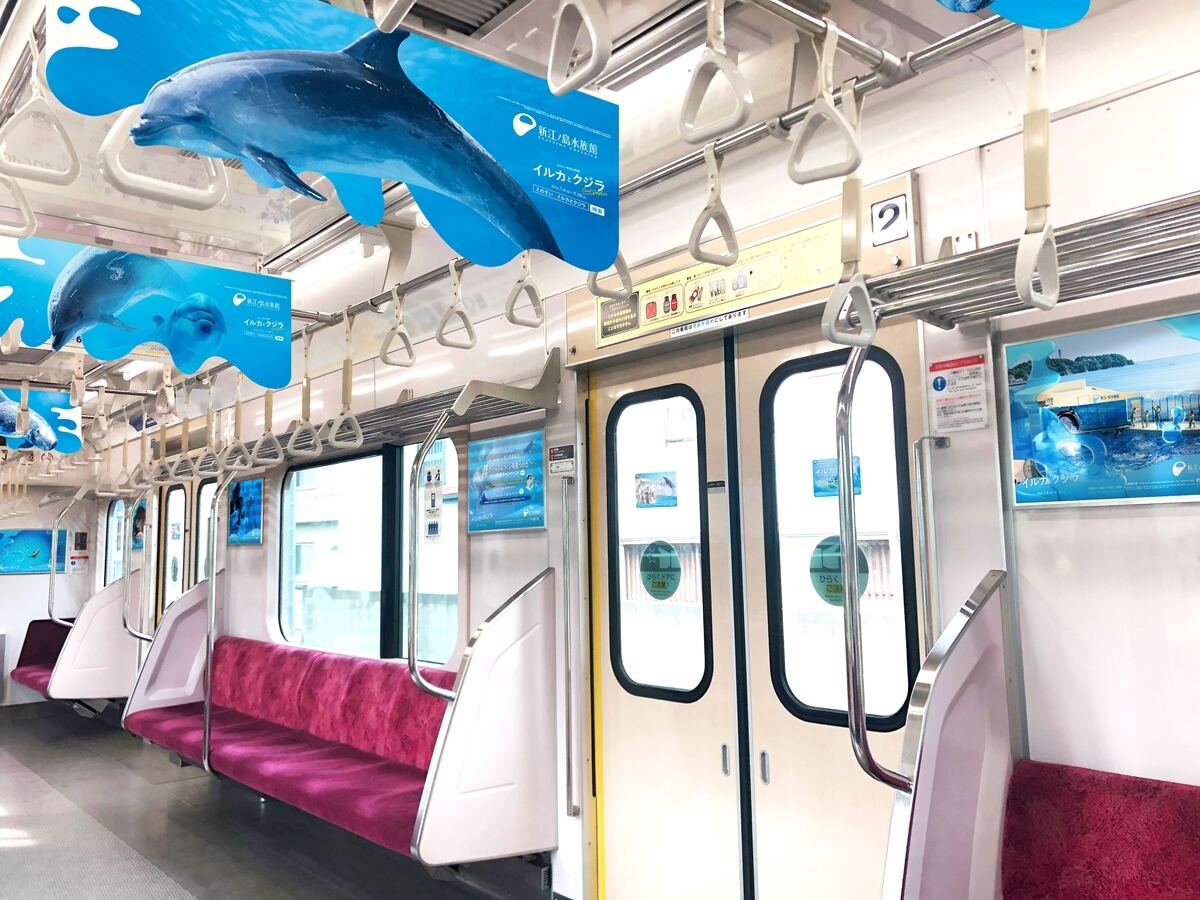 小田急線「クールドルフィン号」2025年夏も「えのすい」がジャック