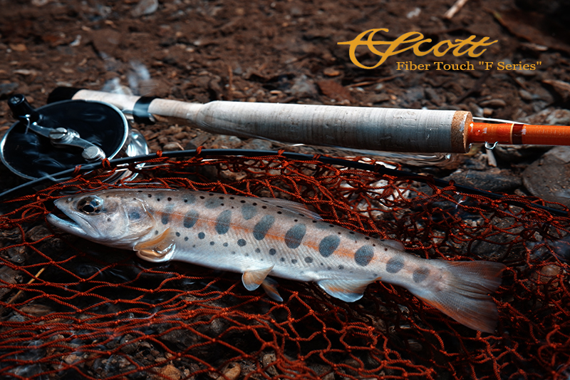 F Series｜スコット｜Casket カスケット