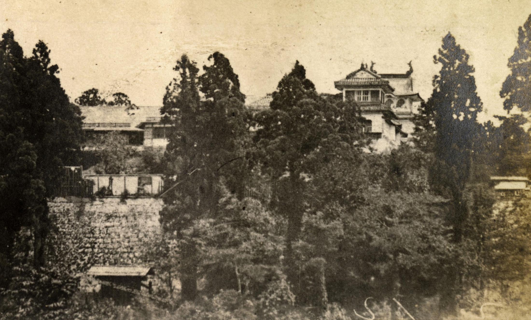 盛岡に息づく虎の伝承、漫画や菓子新商品も 江戸時代初期、藩主が駿府