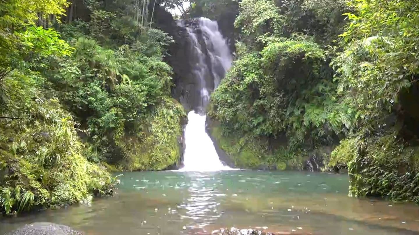 幻想的な夜の滝 藤本の滝ライトアップ 薩摩川内市・樋脇町 | 鹿児島の