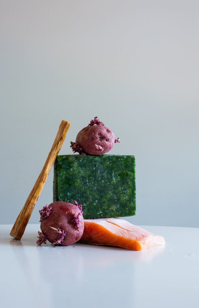 Irving Penn Still Life – Nicole Cohen Art