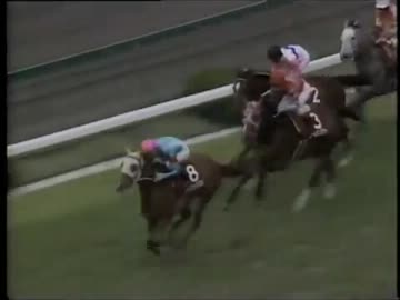 1992年4月5日 第36回 産経大阪杯 トウカイテイオー - ニコニコ動画
