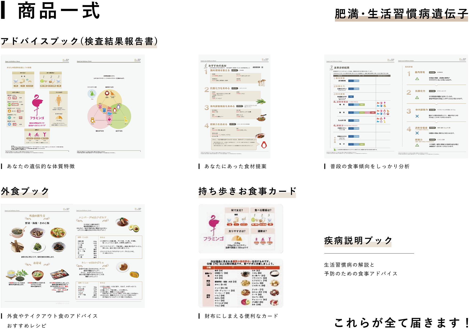 H&BP ｜ 日本メドックオンラインストア