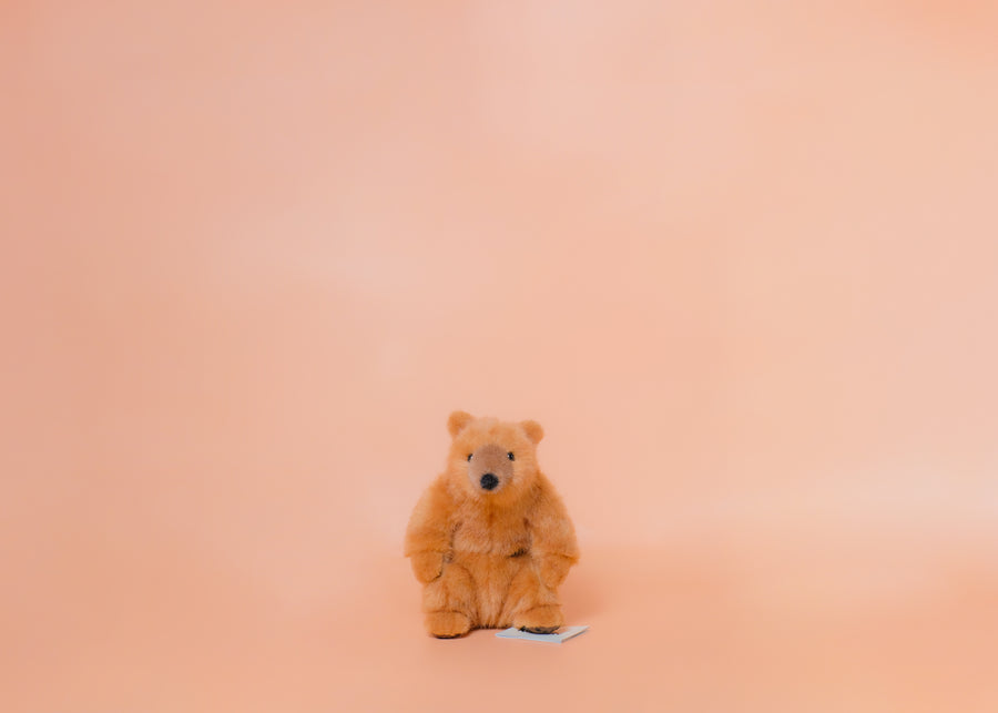 お座りベア – niiiwa