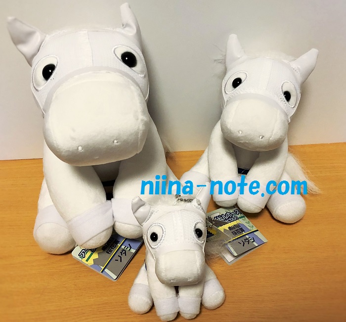 解説】「アイドルホースオーディション2025」今年もスタート！推し馬を