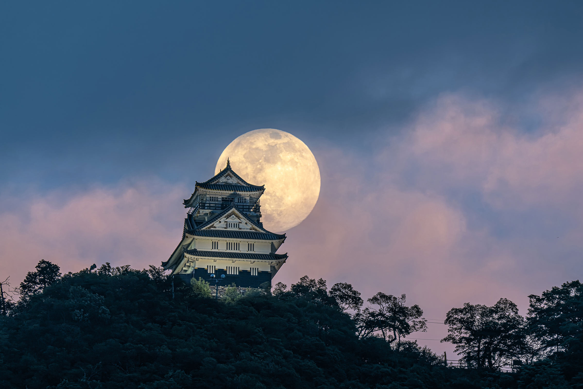 Nikon Creators - 建築士、フォトグラファー 小林 淳 インタビュー