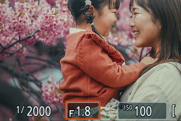 Z50IIで撮る家族フォトライフ | ニコン