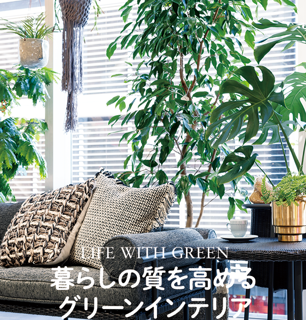 座った一瞬の感動を、ずっと続く感動に 昼下がりを贅沢に過ごすソファ