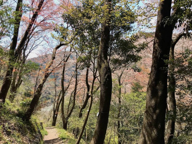 西宮ペディア] 笹部新太郎 – 西宮流 (にしのみやスタイル)